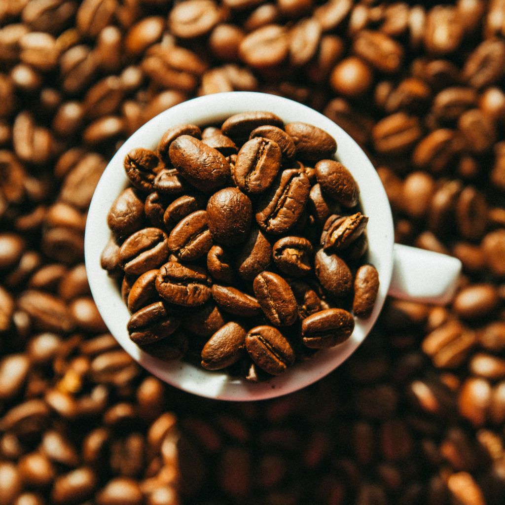 Roaster scooping up freshly roasted beans 